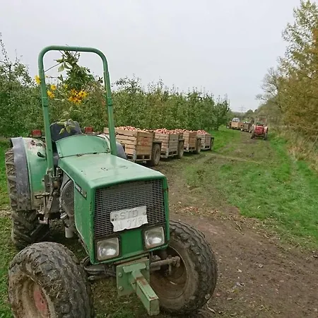 Gospodarstwo agroturystyczne Auf Dem Bio Obsthof *